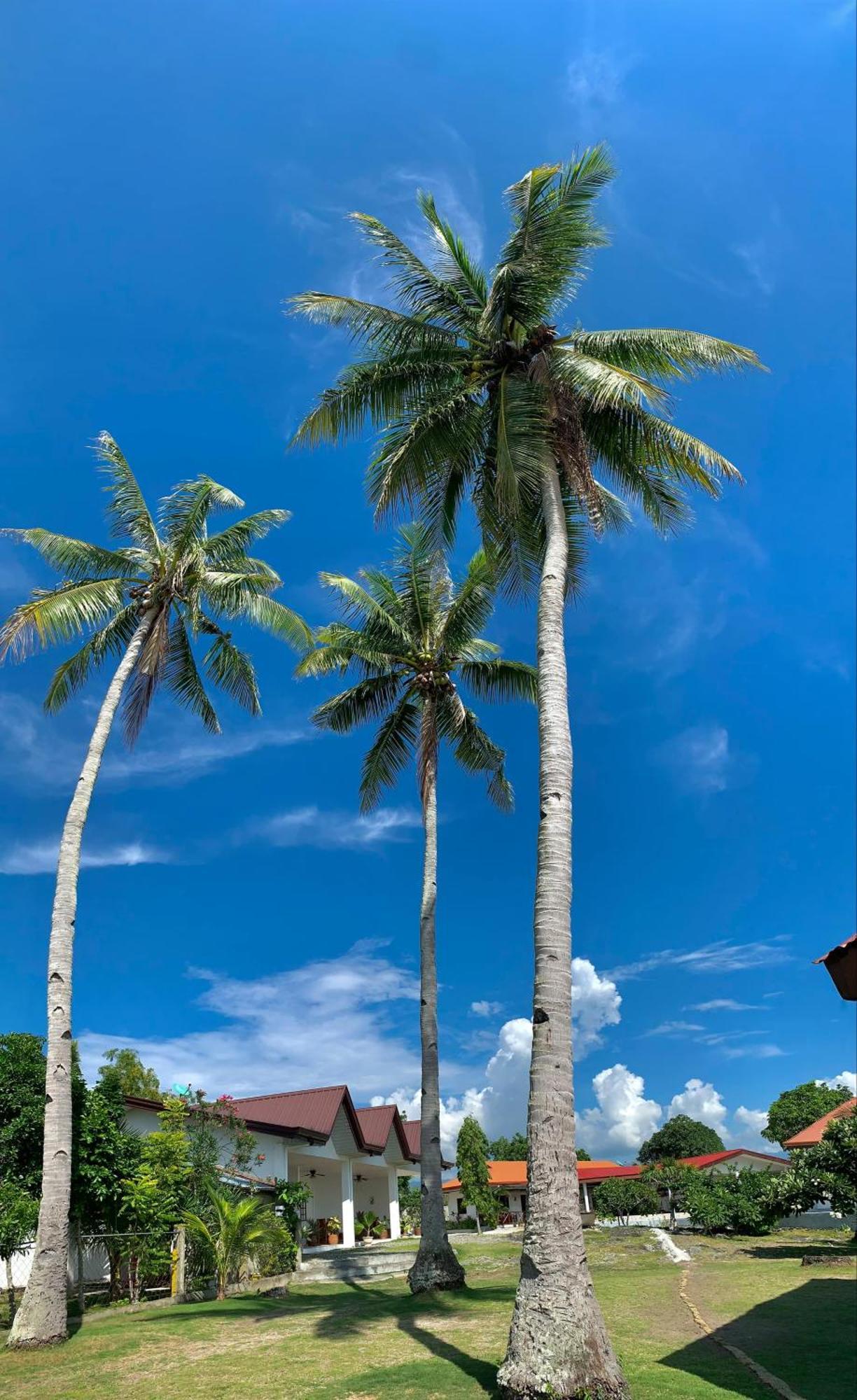 Tauig Beach Resort Моалбоал Экстерьер фото